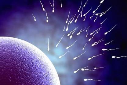 17 фактов о сперме, о которых многие не догадывались